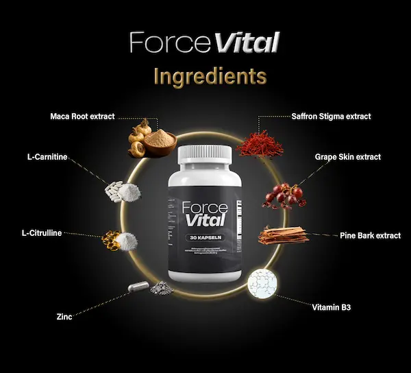 Ingrédients de ForceVital : maca, L-carnitine, L-citrulline, zinc, safran, peau de raisin, écorce de pin et vitamine B3