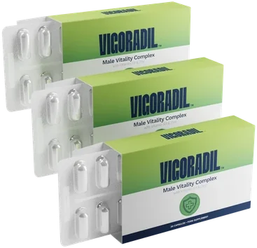 Pack de 3 boîtes de Vigoradil